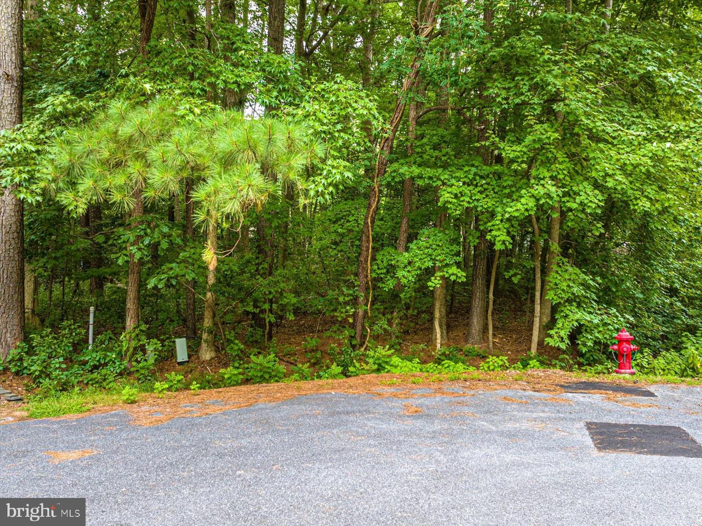 Photo 12 of 22 of 19 Twilight Ct land