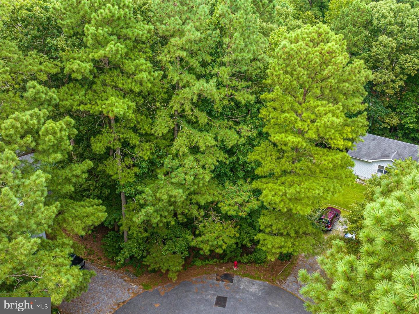 Photo 6 of 22 of 19 Twilight Ct land