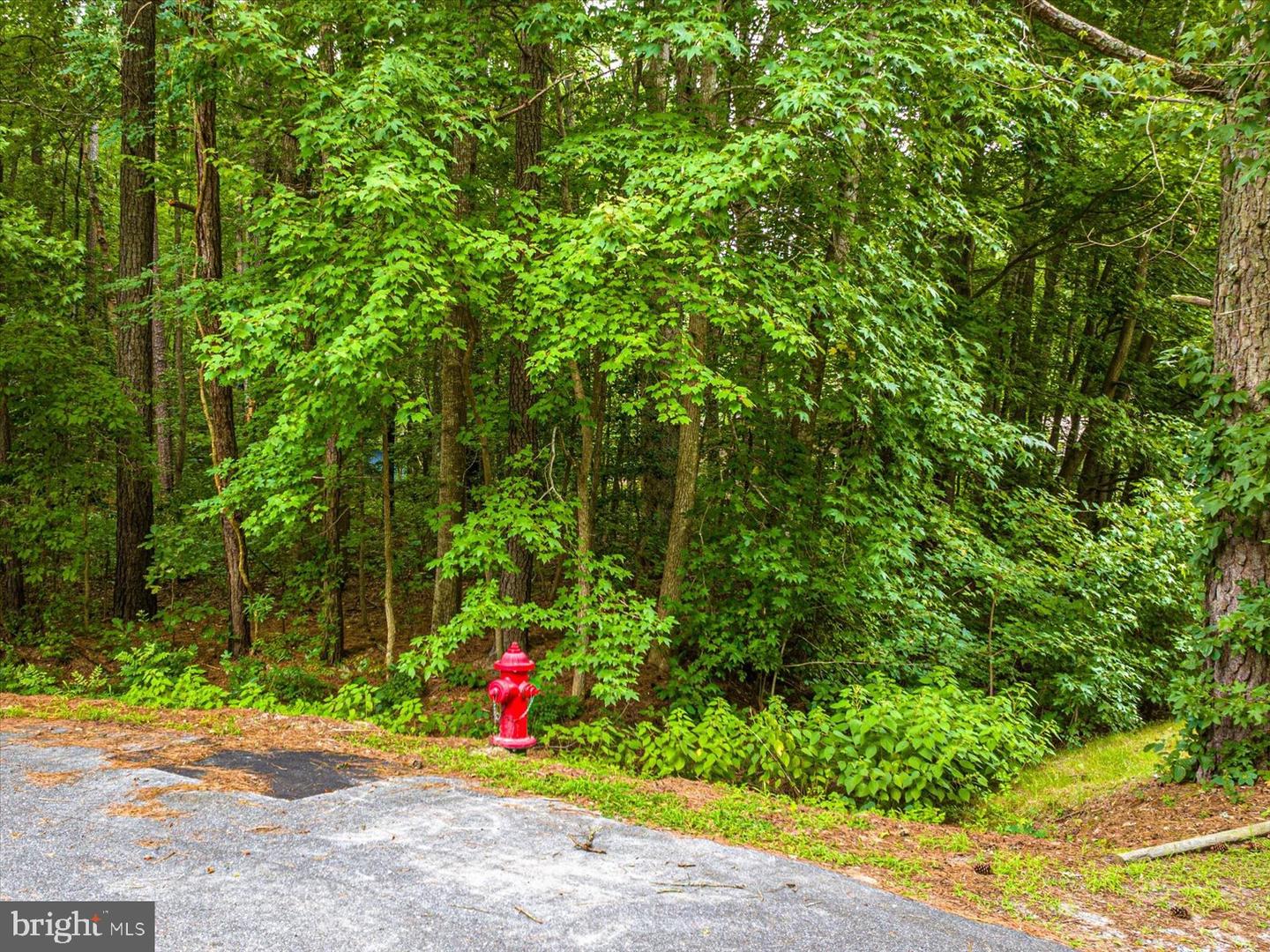 Photo 13 of 22 of 19 Twilight Ct land