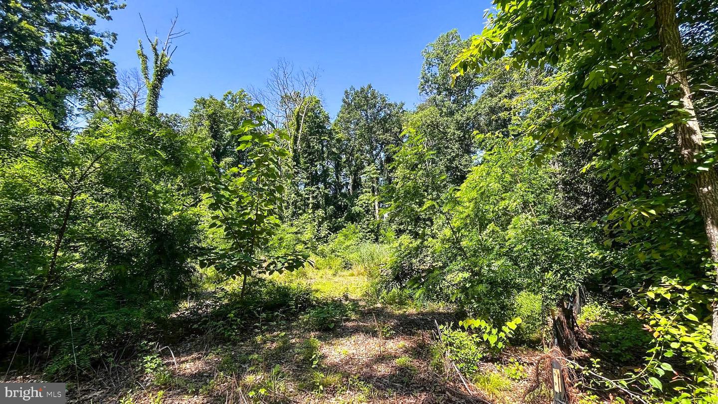 Lot 17 Vinter Lane, Pasadena, Maryland image 6