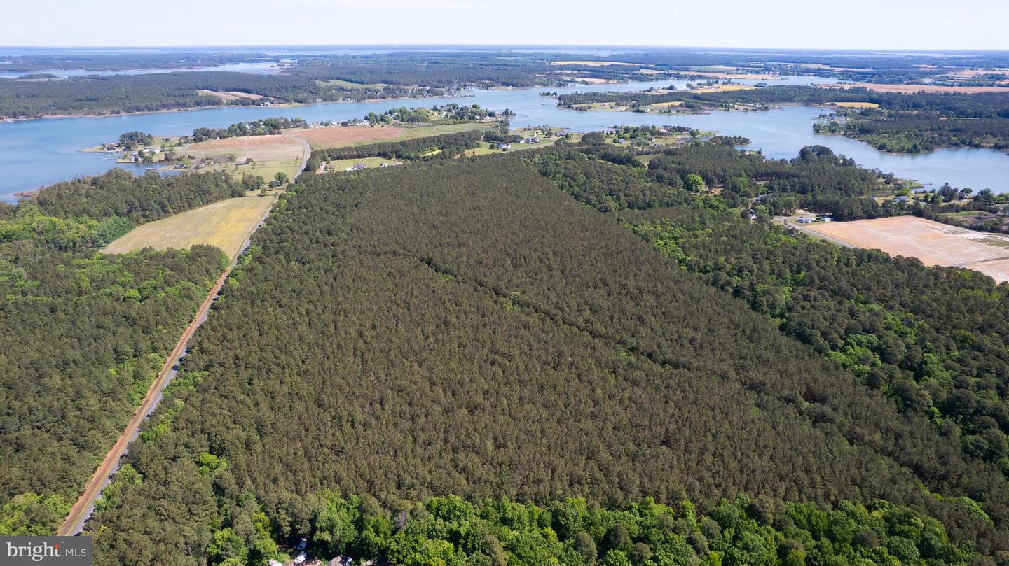 Taylors Island Rd, Woolford, MD, 21677