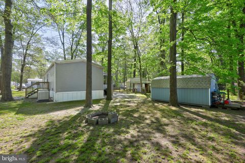 A home in Millsboro