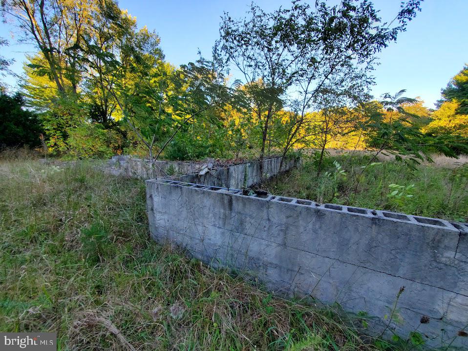 Photo 3 of 4 of 215 Stockton Bridge Rd land