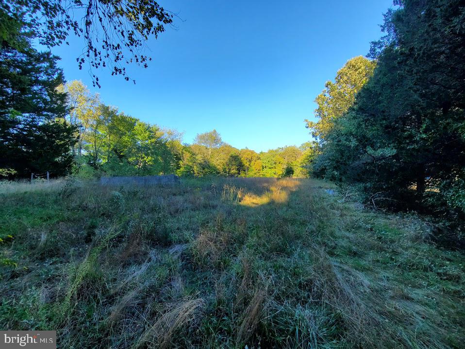 Photo 2 of 4 of 215 Stockton Bridge Rd land