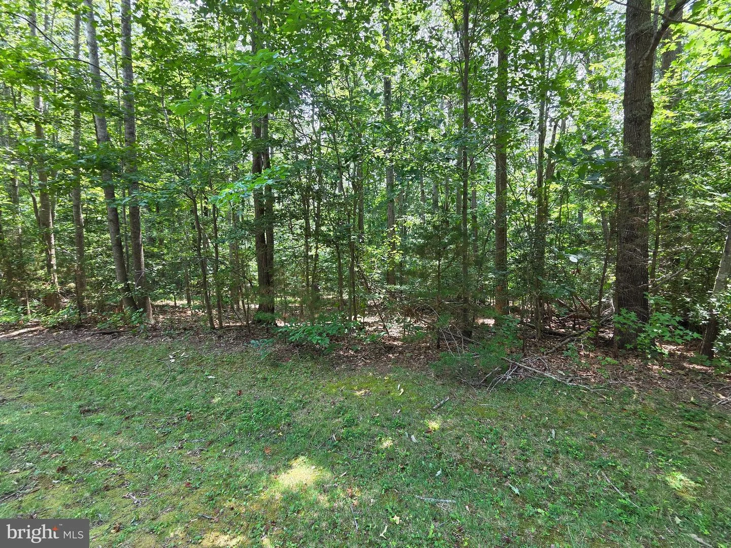 Lot 26 Greenpoint Landing Road, Montross, VA, 22520