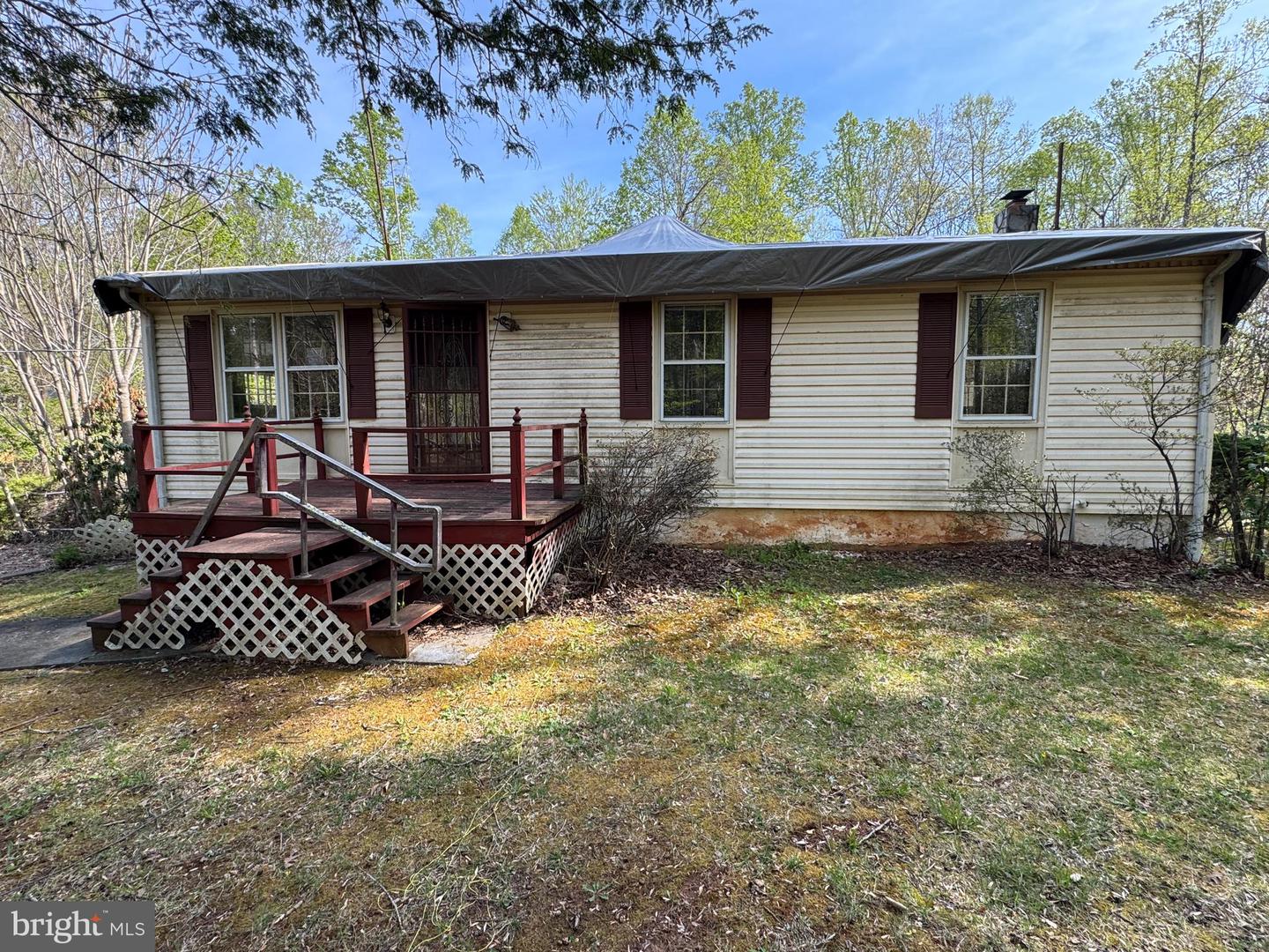 Listing image 4
