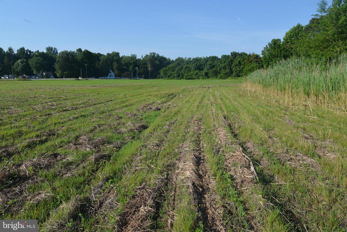 Sparks Corner Sparks Mill At Route 213 Road, Centreville, Maryland image 15