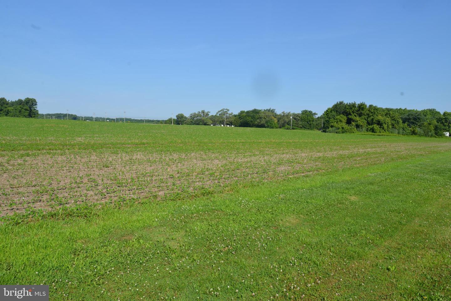 Sparks Corner Sparks Mill At Route 213 Road, Centreville, Maryland image 31