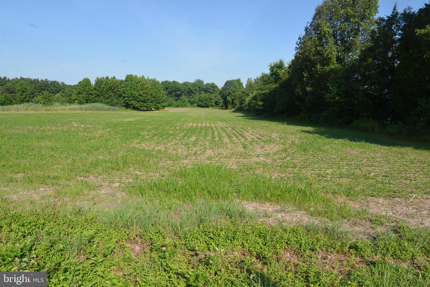 Sparks Corner Sparks Mill At Route 213 Road, Centreville, Maryland image 25