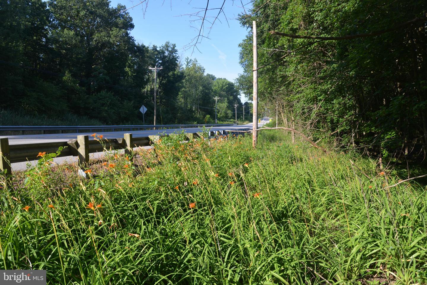 Sparks Corner Sparks Mill At Route 213 Road, Centreville, Maryland image 19