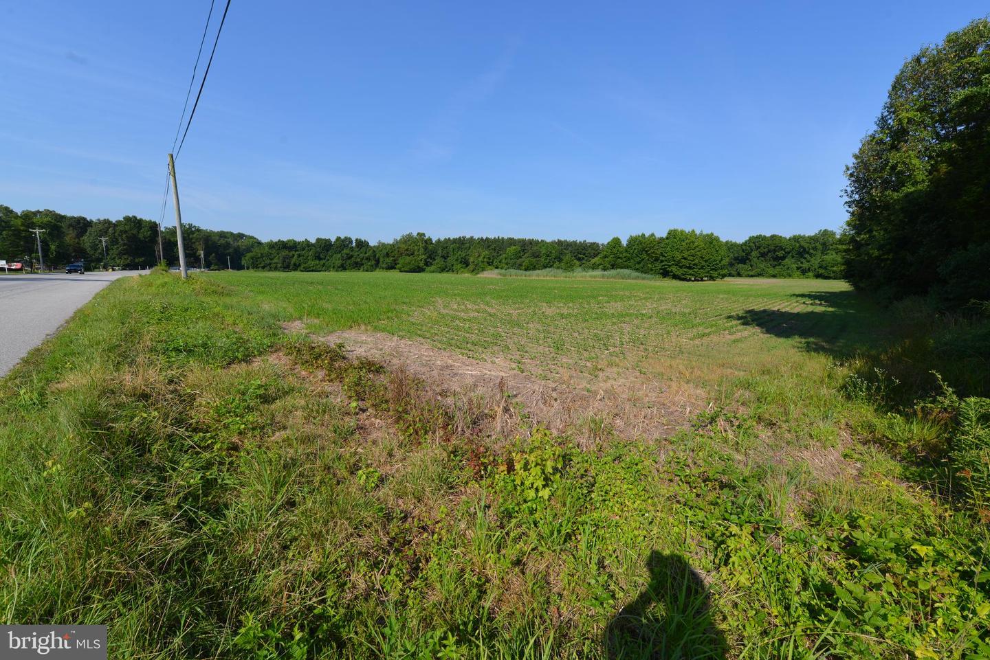 Sparks Corner Sparks Mill At Route 213 Road, Centreville, Maryland image 26