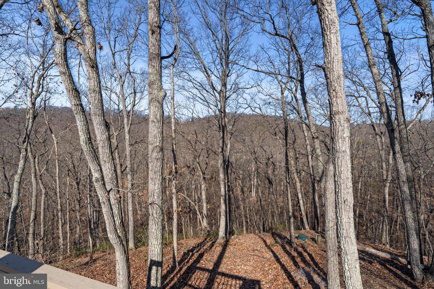 Photo 4 of 29 of 189 Hobbs Knob Rd house