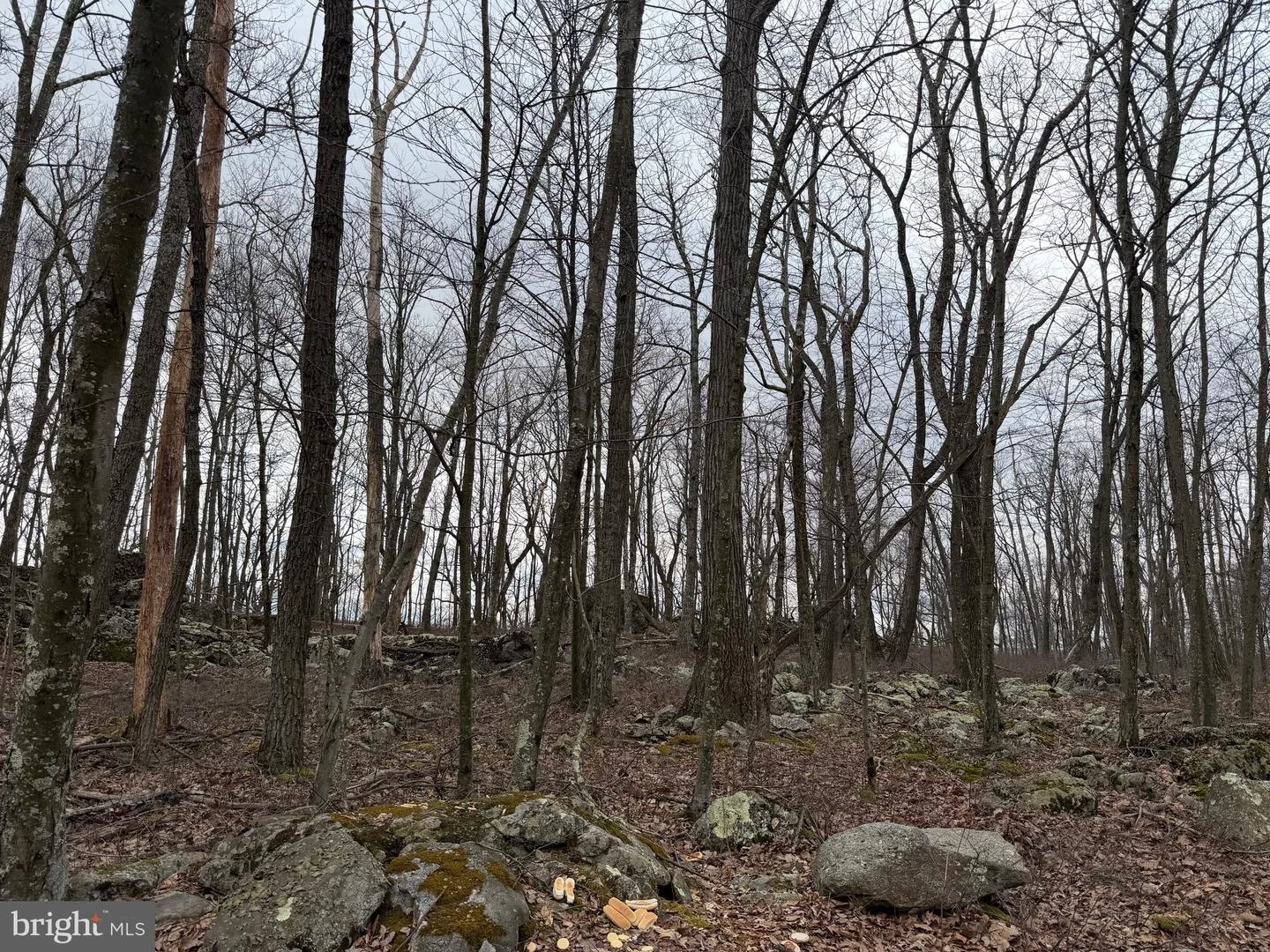 Lot 287.1 Spring Mountain Dr, Zion Grove, PA, 17985