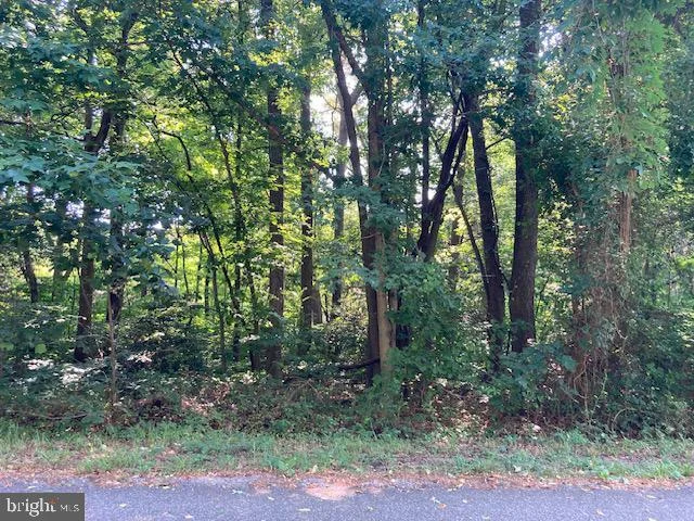 lot 215 Bay Pointe Drive