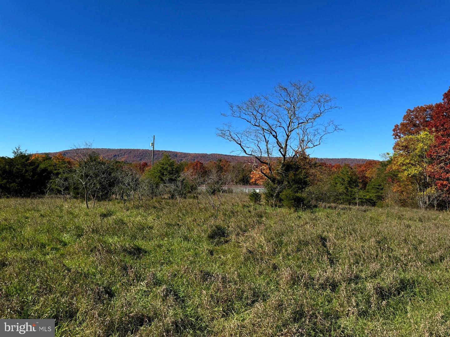 Susan Fleek Road, Keyser, West Virginia image 5