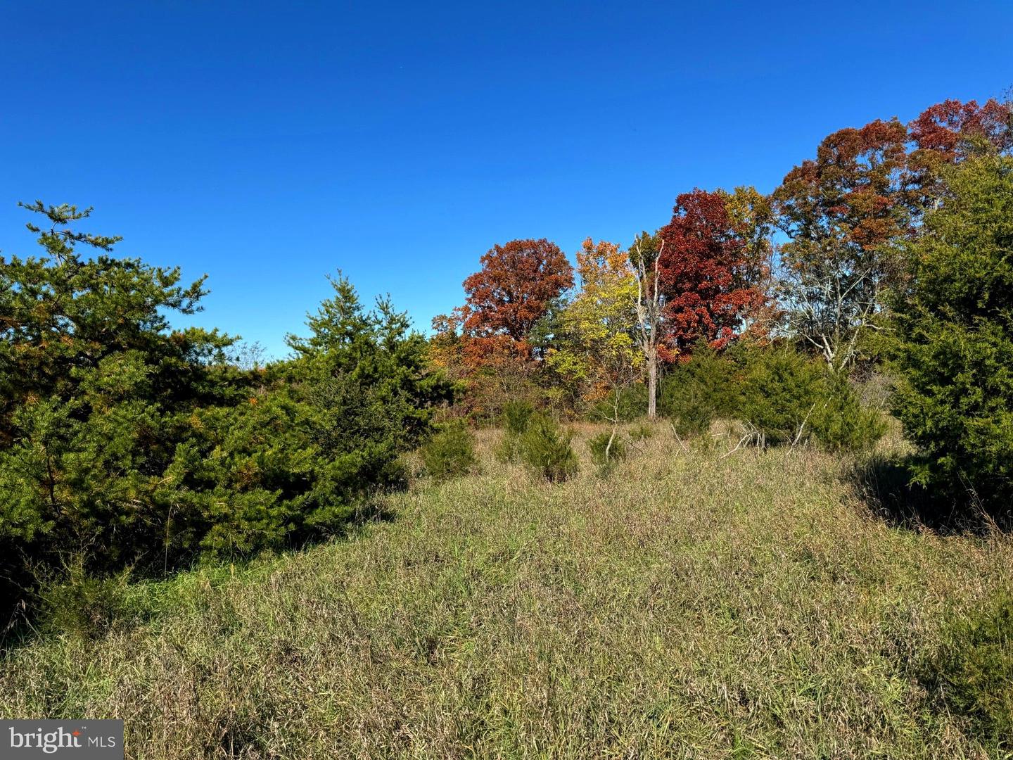 Susan Fleek Road, Keyser, West Virginia image 9