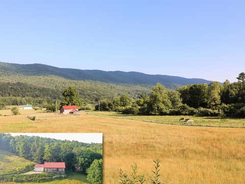 Photo for 12132 Jackson River Rd
