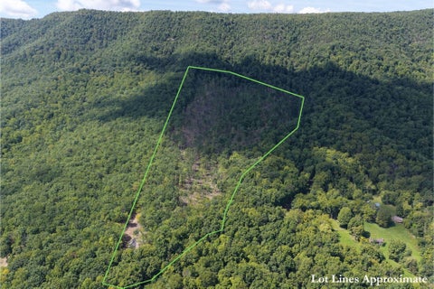 Photo for TBD Honey Hollow Rd