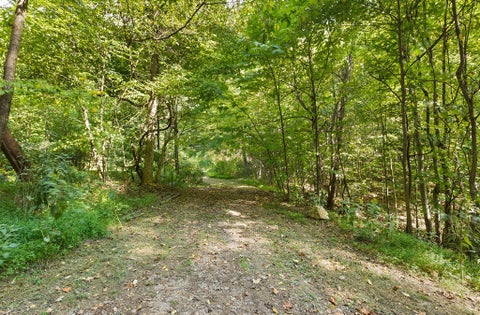 Photo for TBD S LONG BRANCH Ln