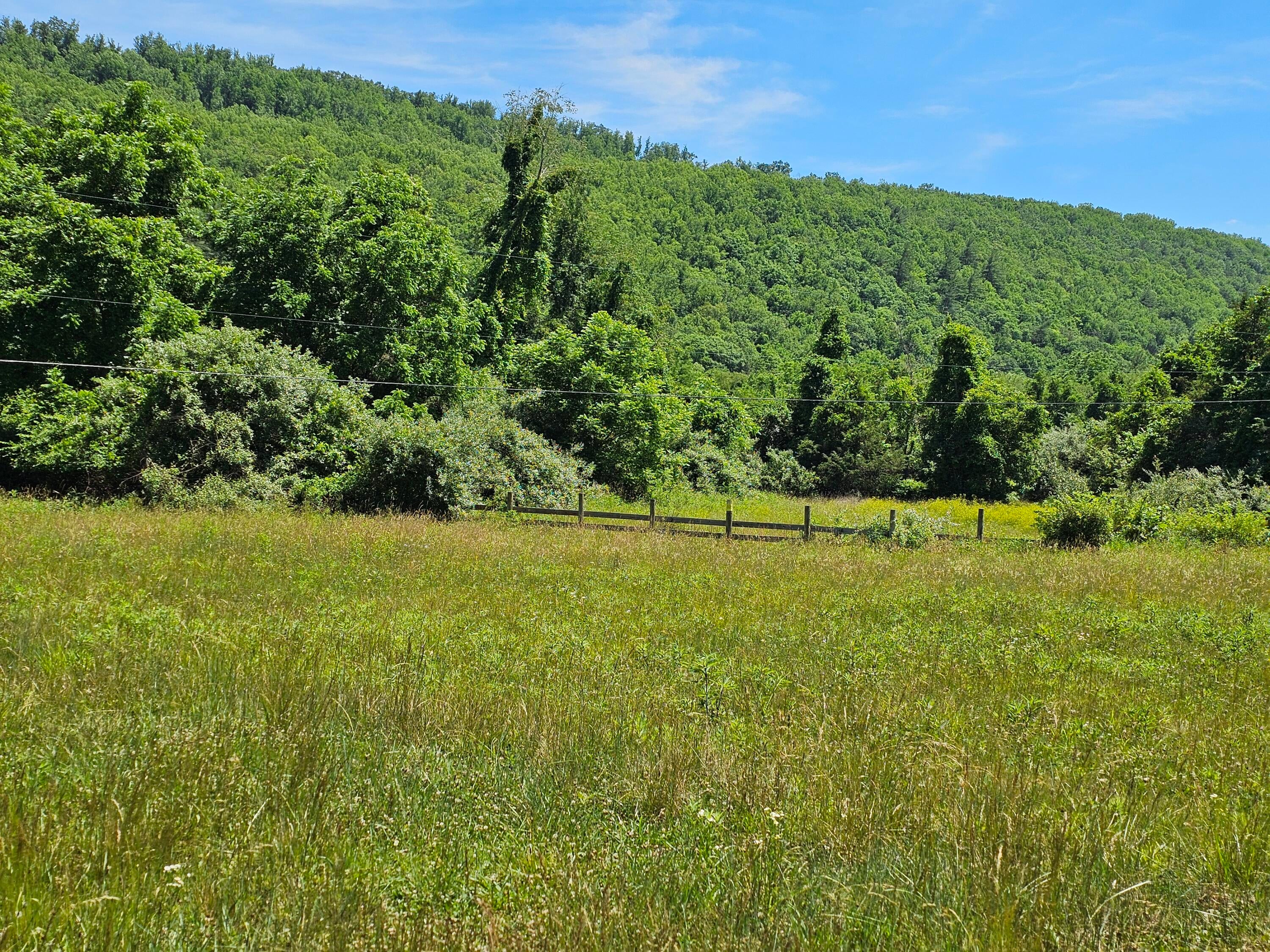 2105 Coles Mountain Rd