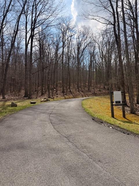 Tract 12 Delafield Rd