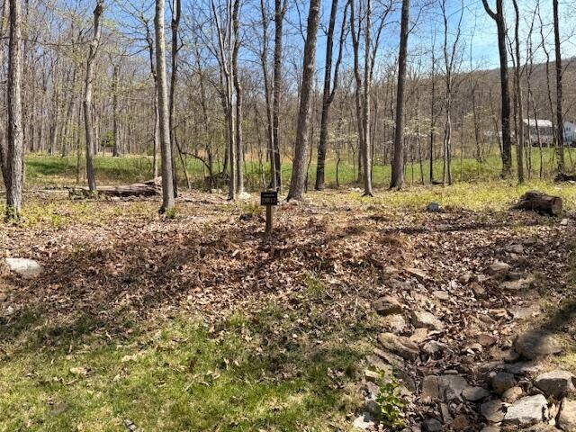 Tract 12 Delafield Rd