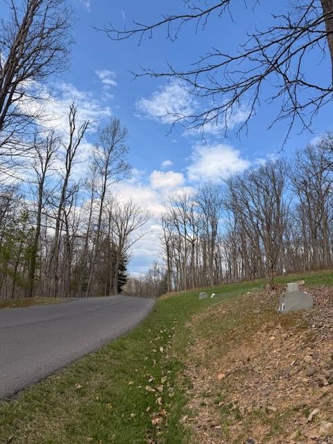 Tract 12 Delafield Rd