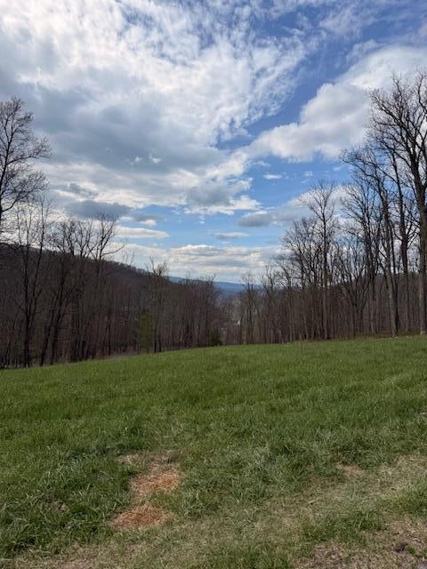 Tract 11 Delafield Rd