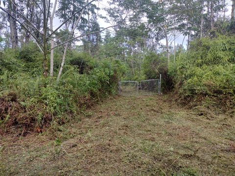 Featured picture for the property 715490