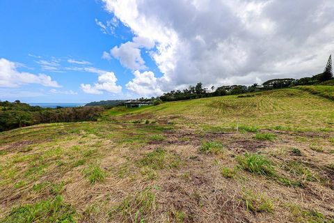 Tiny photo for 4095 Pali Moana Pl, Kilauea, HI 96754 (MLS # 719000)