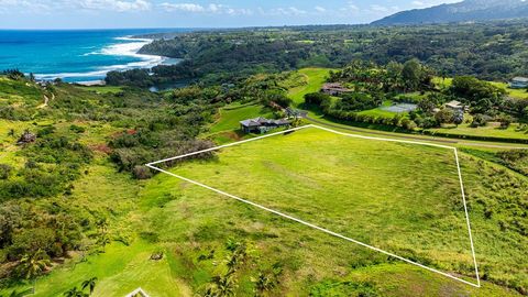 Tiny photo for 4095 Pali Moana Pl, Kilauea, HI 96754 (MLS # 719000)