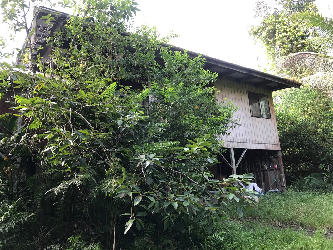 Photo 1 of 17 — 16-689 AULII ST, Keaau, HI 96760