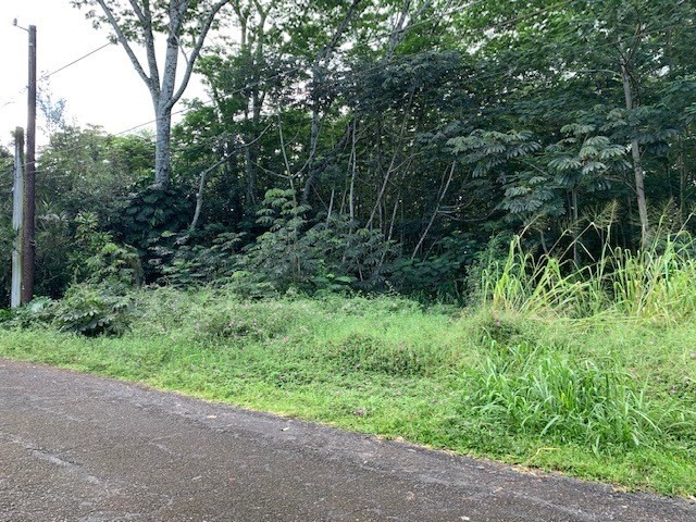 Photo 1 of 4 — N HINALEA ST, Pahoa, HI 96778