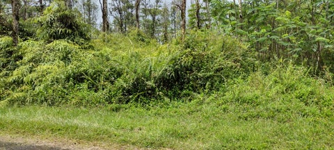 Featured picture for the property 713979