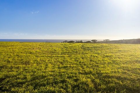 Tiny photo for 6 Aka Ula Pl, Koloa, HI 96756 (MLS # 717038)