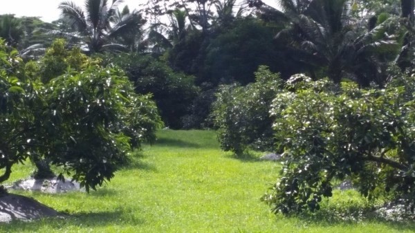 Photo 1 of 13 — 15-2048 11TH AVE, Keaau, HI 96749