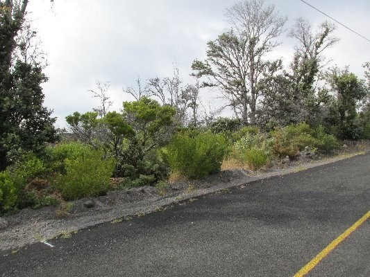 Photo 1 of 3 — LILIANA LN, Ocean View, HI 96737