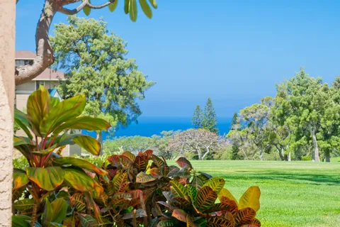 68-3840 Lua Kula St Unit H100, Waikoloa, HI 96738 - MLS#: 718948