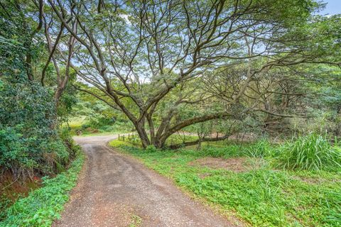 Tiny photo for 5409 Laipo Rd #2, Kapaa, HI 96746 (MLS # 714661)