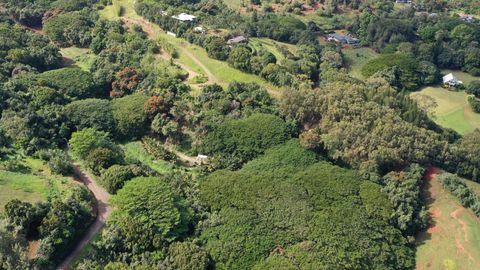Tiny photo for 5409 Laipo Rd #2, Kapaa, HI 96746 (MLS # 714661)