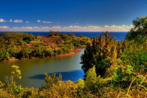 Tiny photo for 72 Holo Malanai St, Koloa, HI 96756 (MLS # 709084)