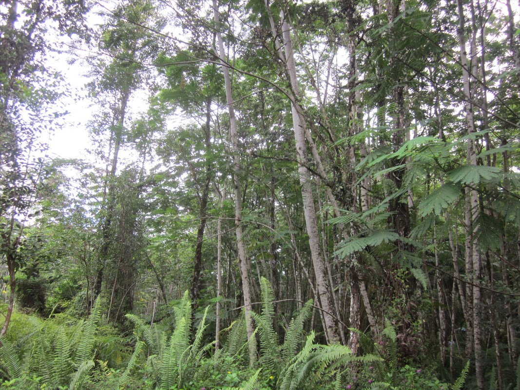 Photo 1 of 5 — PAKALANA RD, Pahoa, HI 96778