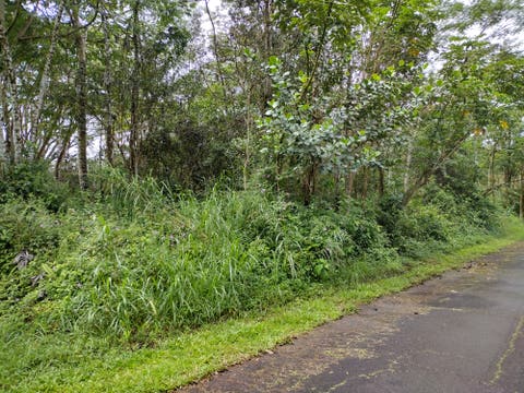 Featured picture for the property 719763