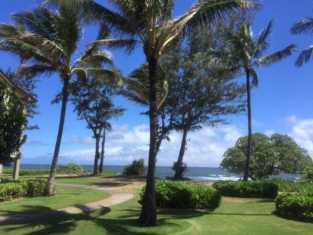 Photo 1 of 6 — 440 ALEKA PL 161, Kapaa, HI 96746