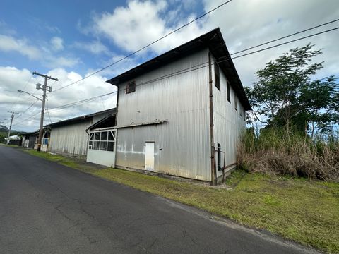 Photo of 55 Omao St, Hilo, HI 96720 (MLS # 717171)