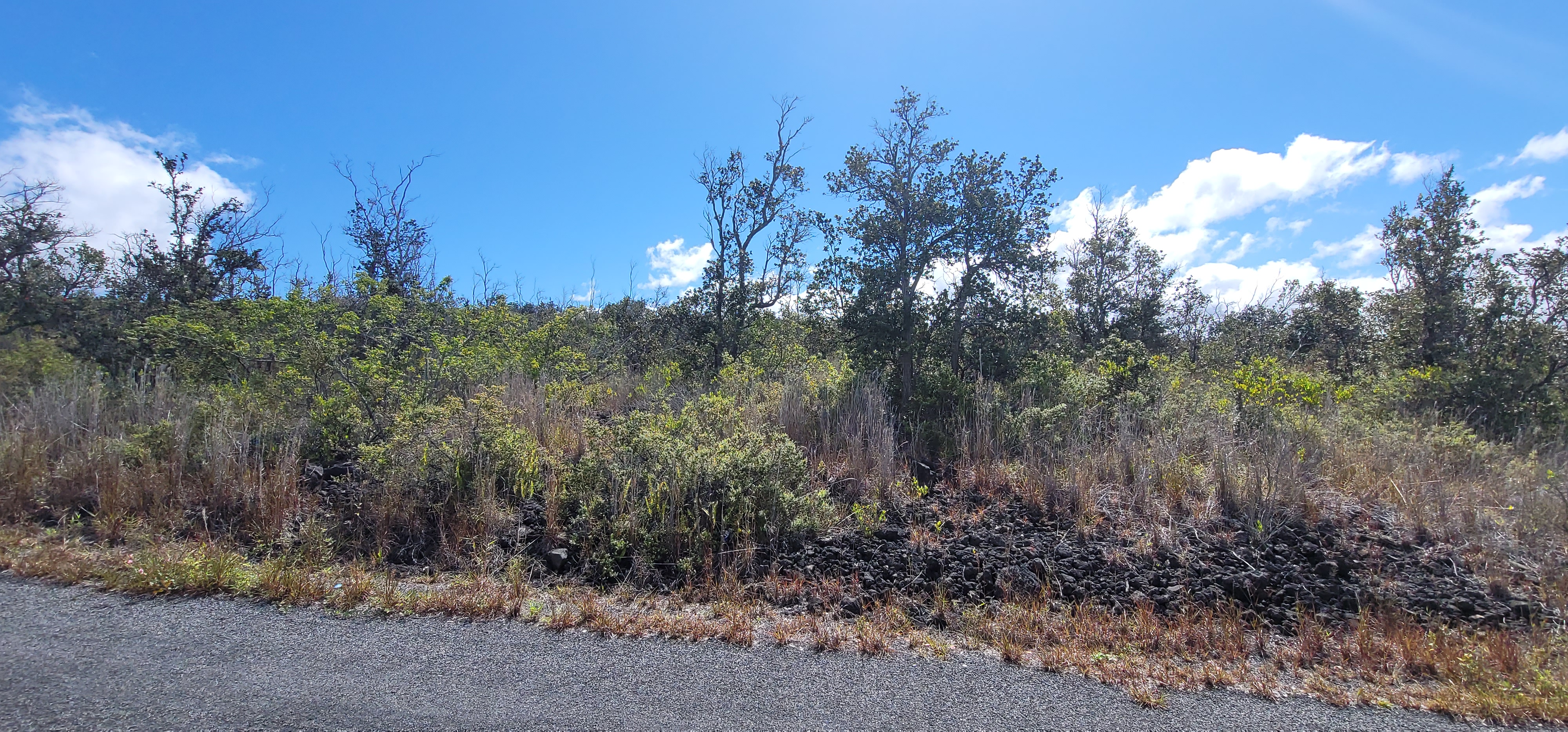 Photo 1 of 3 — BAMBOO LN, Ocean View, HI 96737