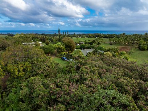 Photo of 7549-A Koolau Rd, Kilauea, HI 96754 (MLS # 717658)