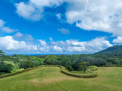 Tiny photo for Kapuna Rd, Kilauea, HI 96754 (MLS # 712881)