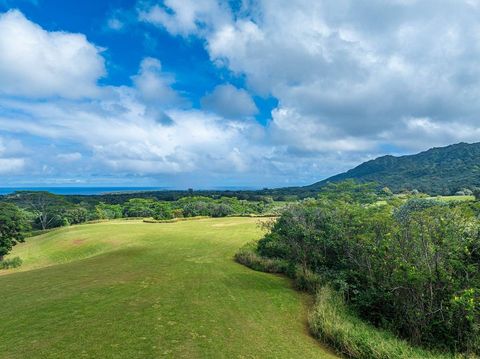 Tiny photo for Kapuna Rd, Kilauea, HI 96754 (MLS # 712881)