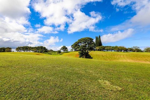 Tiny photo for Kapuna Rd, Kilauea, HI 96754 (MLS # 712881)